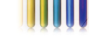 �����ǁF����