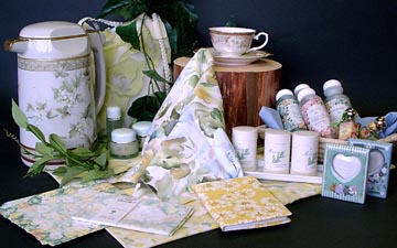 ��\�I��i�F�p���[�h