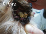 yQlz10Before