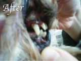 yQlz10After