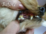yQlz3Before