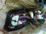 yQlz3After