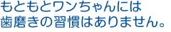 Ƃƃɂ͎̏K͂܂B
